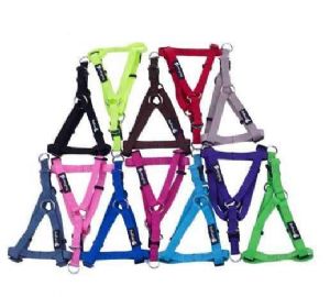 רתמה בייסיק 10 מ"מ -מידה XS
