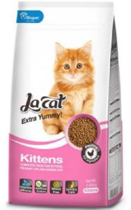 lacat-Kittens לה קט חתלתולים 2.85 ק"ג
